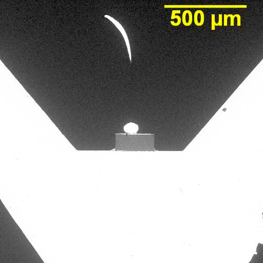 Preview image for Case 2455