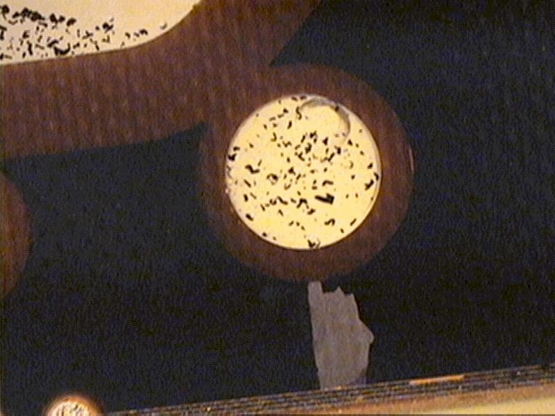 Preview image for Case 212