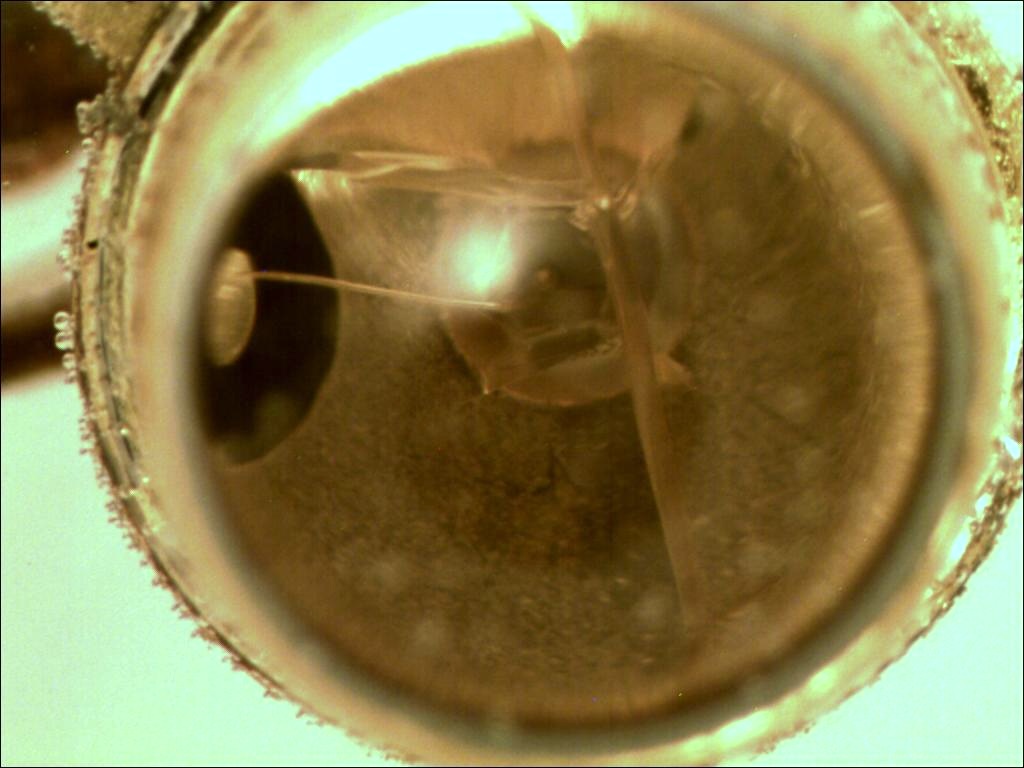 Preview image for Case 2543