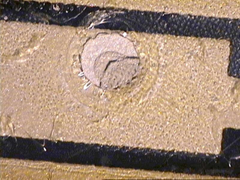 Preview image for Case 549