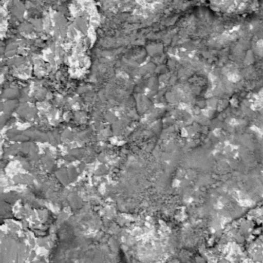 BSE SEM image of QFP solder joint fracture surface showing solder phases and Cu-Sn IMC