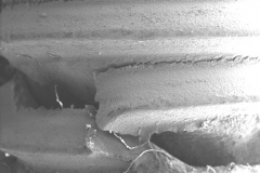 Fracture of a bolt as seen in the SEM.