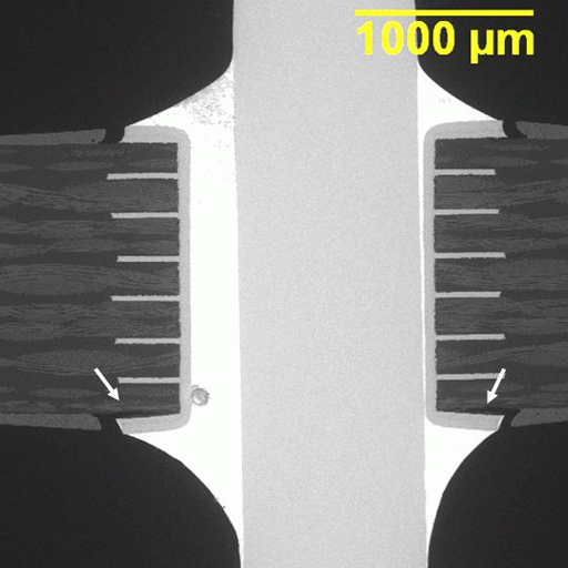 Plated Thru Hole Solder Joint Sem Lab Inc